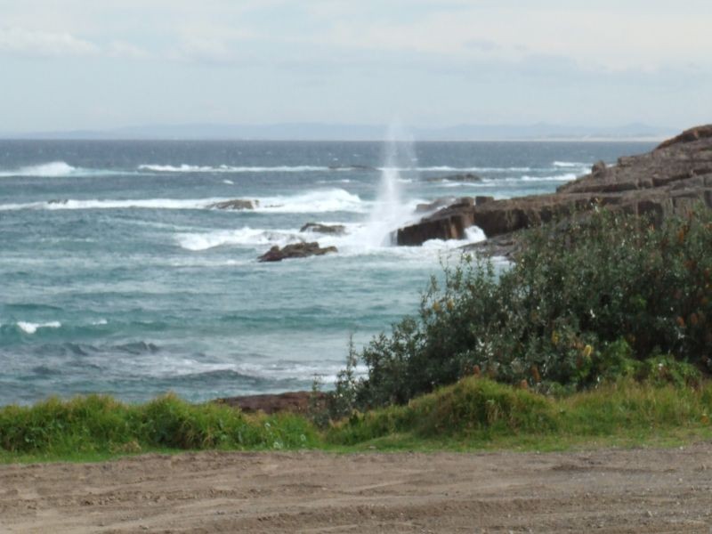 Boat Harbour NSW 2316