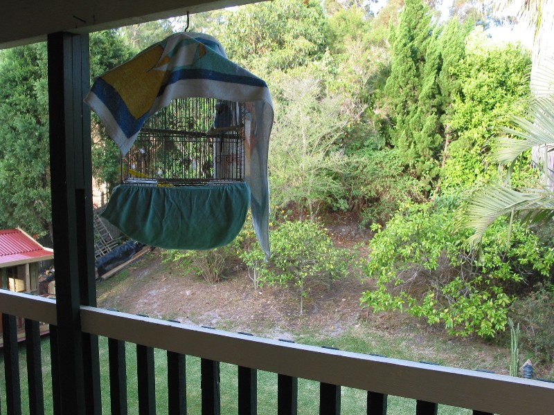 Salamander Bay NSW 2317