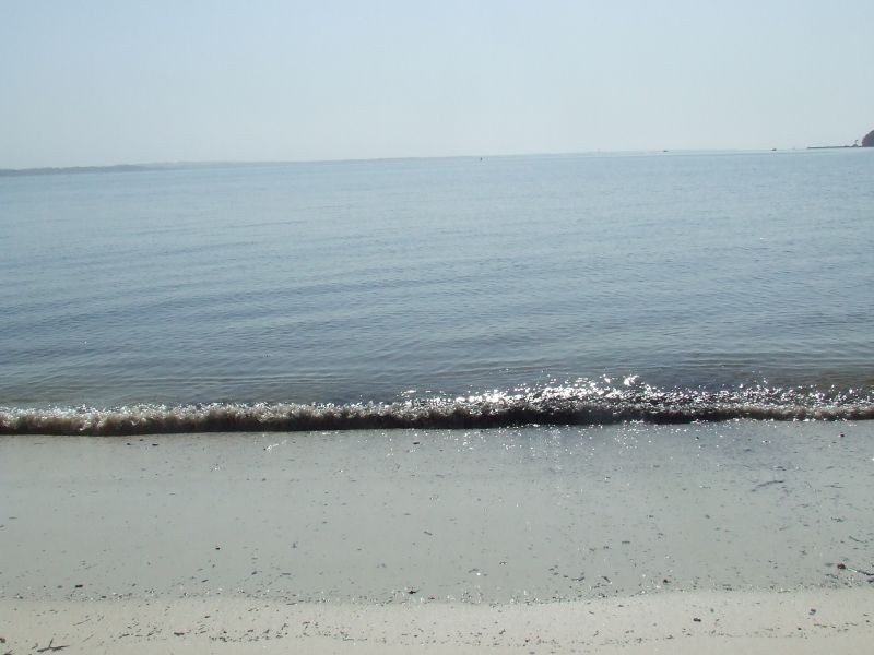 Salamander Bay NSW 2317