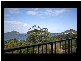 Nelson Bay NSW 2315