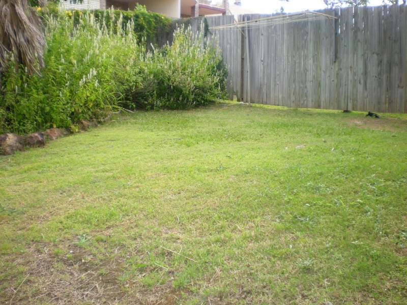 Taringa QLD 4068