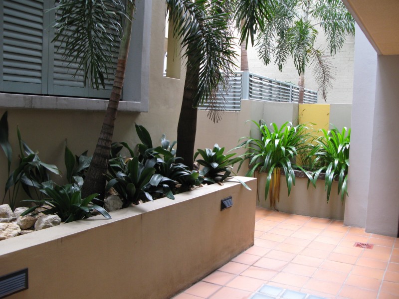 22/83 ALFRED STREET, Fortitude Valley QLD 4006