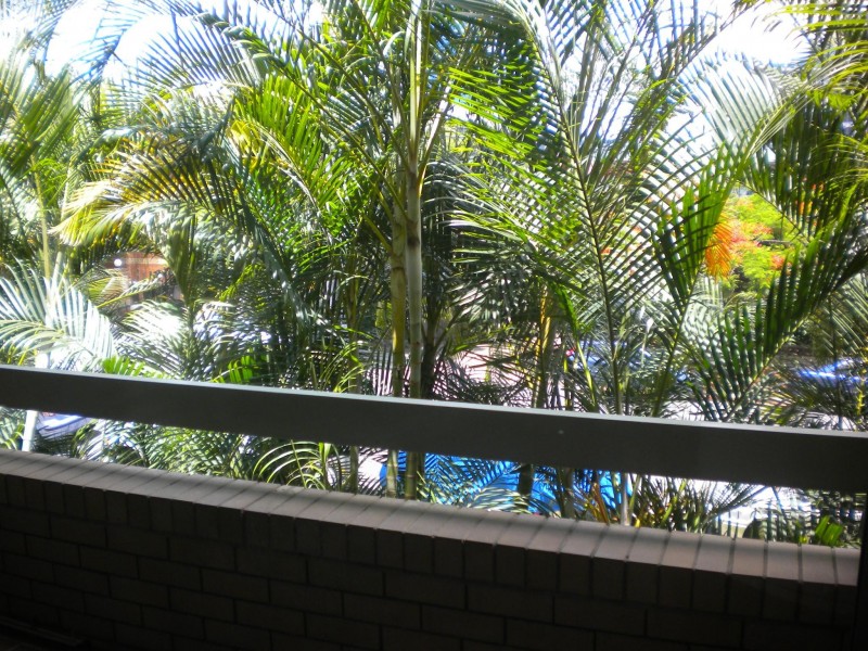 4/23 AUGUSTUS ST, Toowong QLD 4066