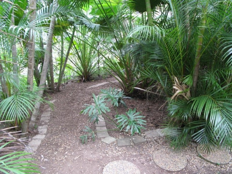 8 BALMORE STREET, Indooroopilly QLD 4068