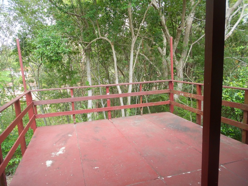 16 BURBONG STREET, Chapel Hill QLD 4069