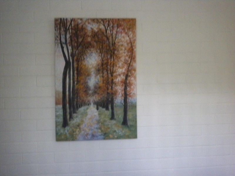 4D/240 CARMODY ROAD, St Lucia QLD 4067