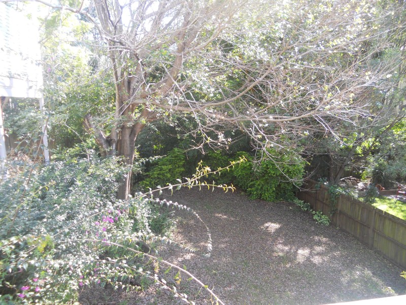 16 HAYWARD STREET, Paddington QLD 4064
