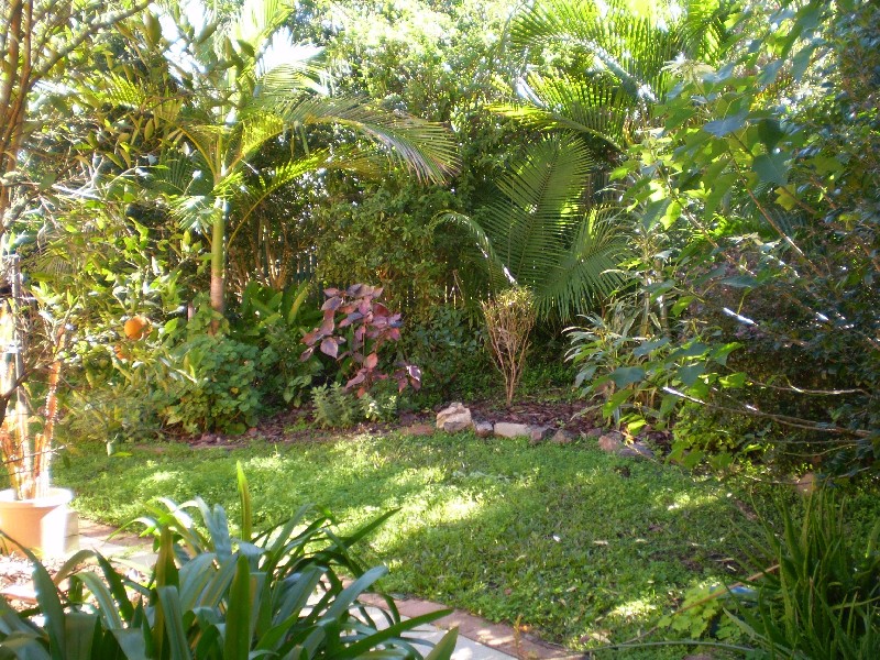 3 KINGUSSIE STREET, Kenmore QLD 4069