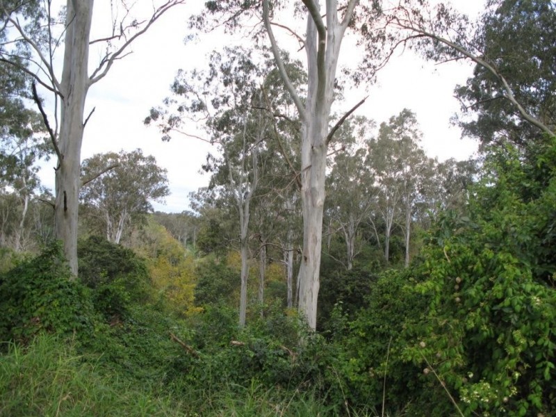 Lot 392 LINTROSE TERRACE, Karalee QLD 4306