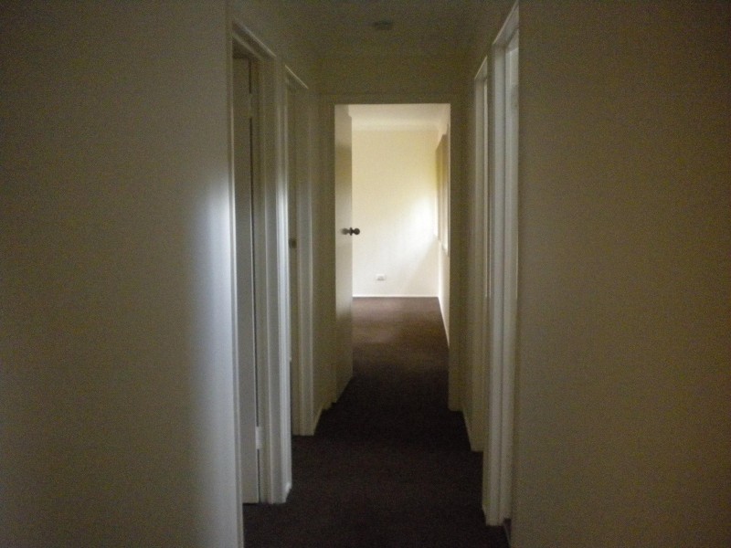 3 LUDLOW STREET, Chapel Hill QLD 4069