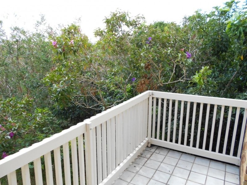 3/50 LYON ST, Moorooka QLD 4105