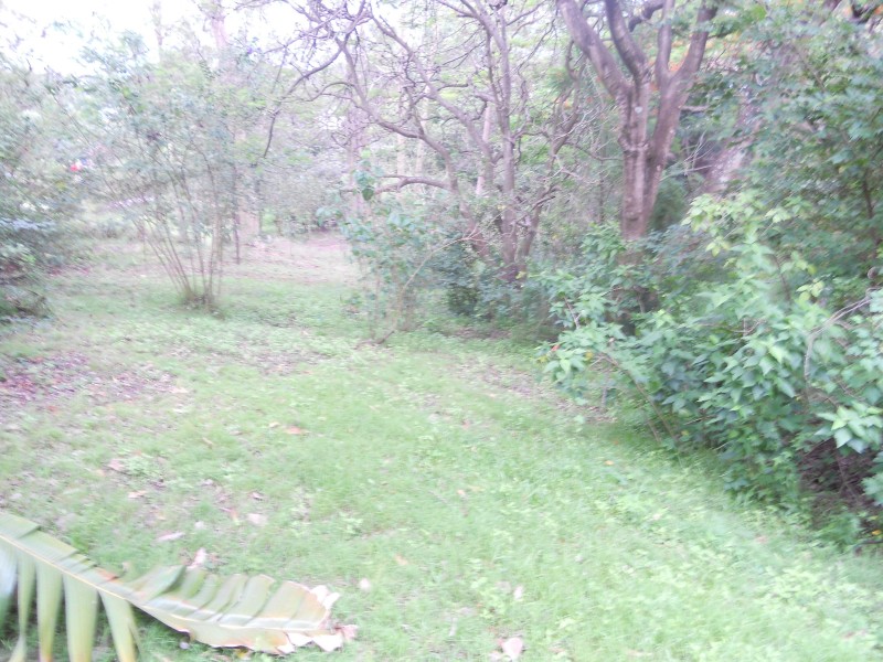 153 BIRDWOOD TCE, Toowong QLD 4066