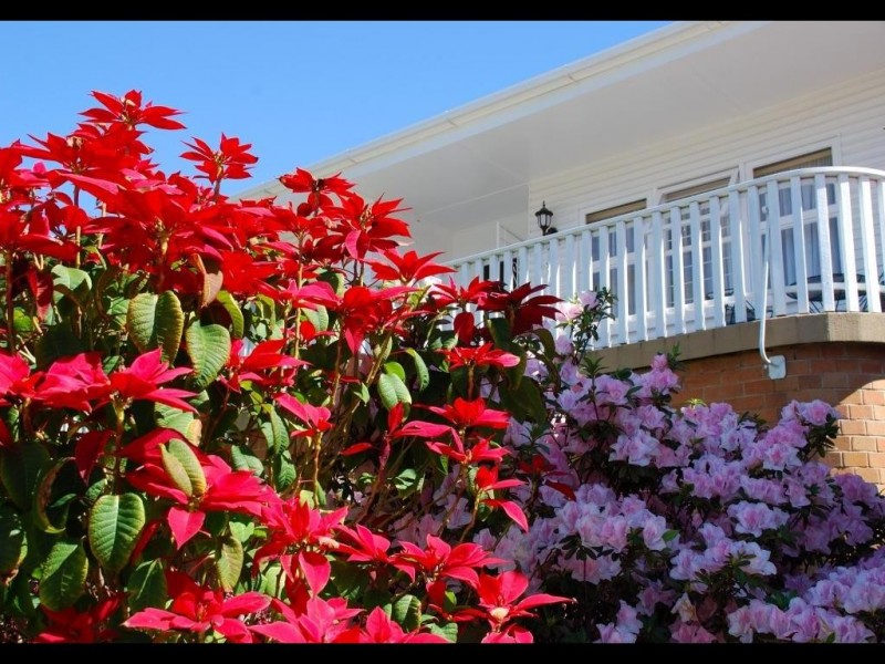 25 PIONEER ST, Toowong QLD 4066