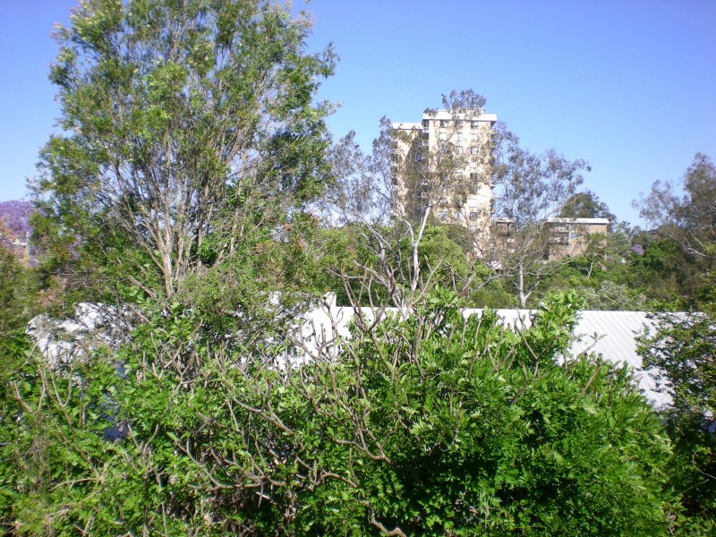 St Lucia QLD 4067