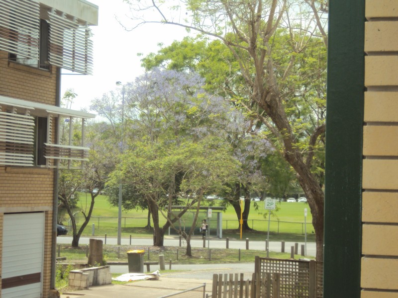 8/22 WARREN STREET, St Lucia QLD 4067