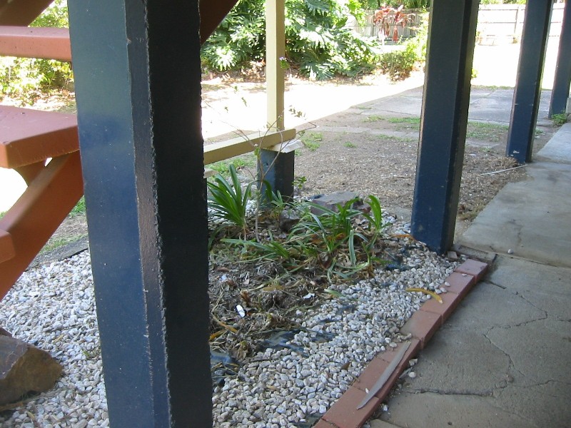 21 Wight Street, Milton QLD 4064