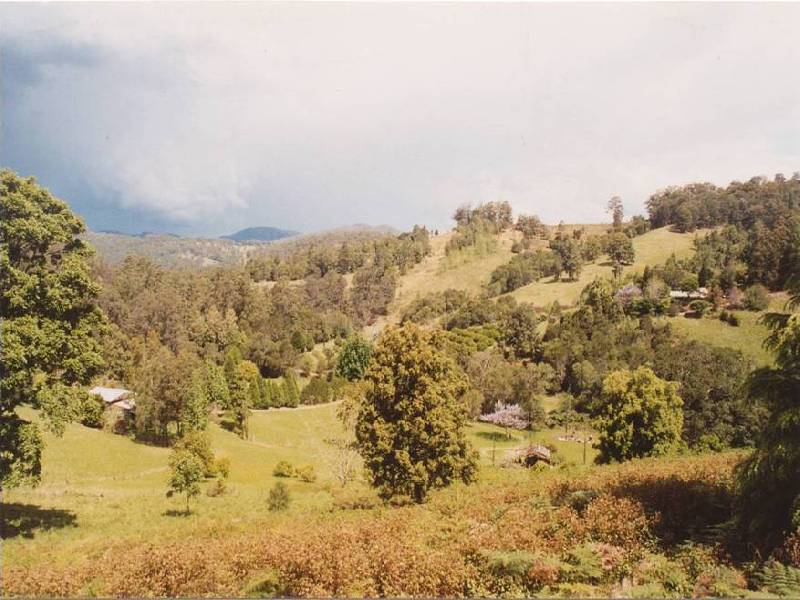 Caparra NSW 2429