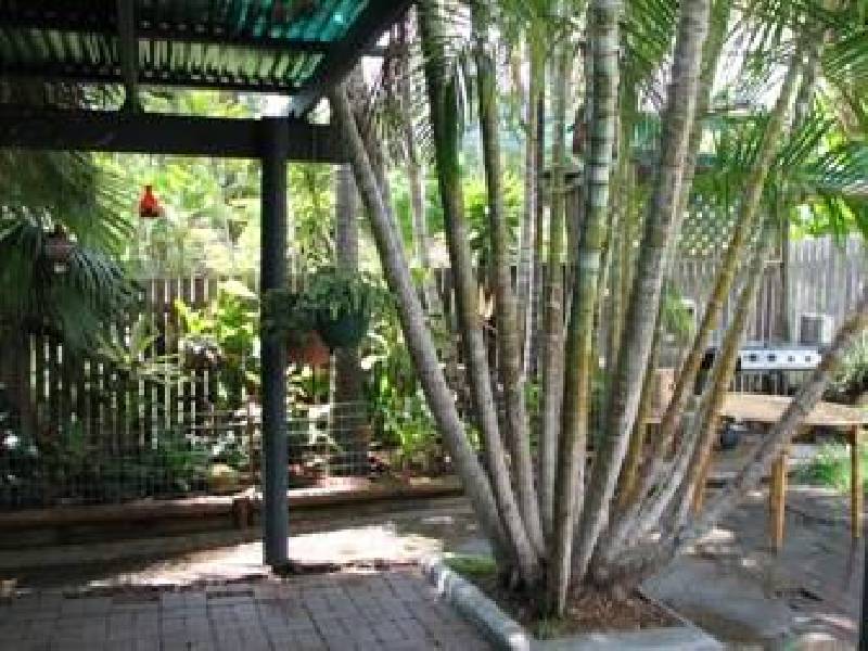 13 Hayes Avenue, Boyne Island QLD 4680