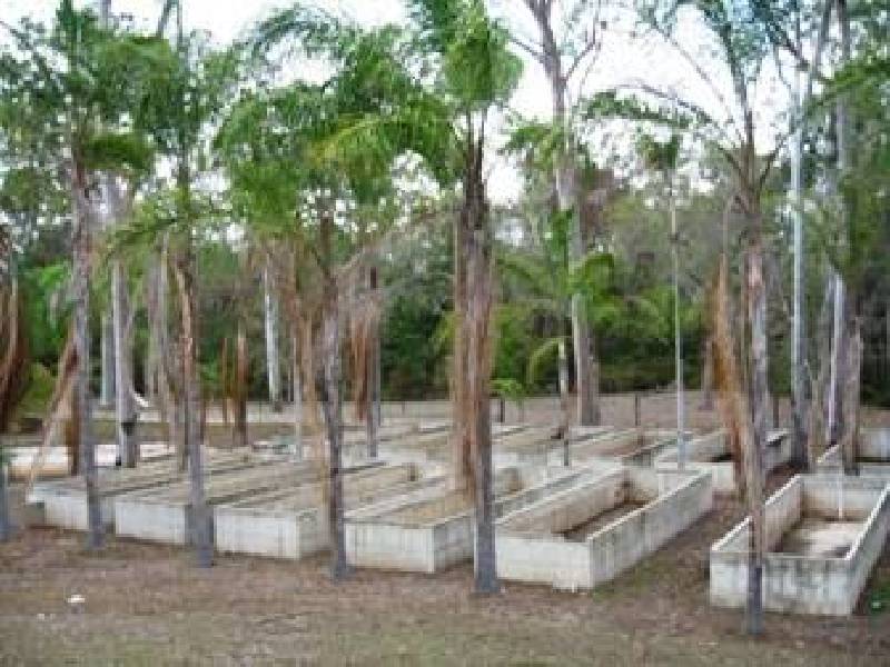 221 Bells Road , Turkey Beach QLD 4678