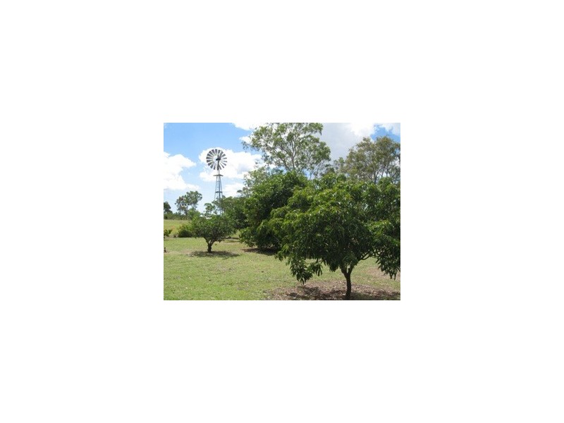 58 Bells Road, Turkey Beach QLD 4678