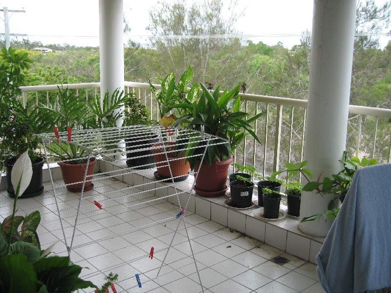 4/4 Pittsbay Crescent, Boyne Island QLD 4680