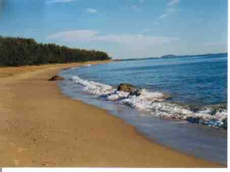 LAND OAKS ESTATE , Tannum Sands QLD 4680