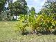 20 Bowton Street, Turkey Beach QLD 4678