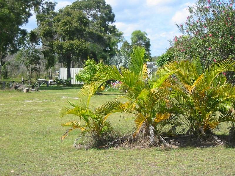 20 Bowton Street, Turkey Beach QLD 4678