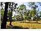 Winston Hills NSW 2153