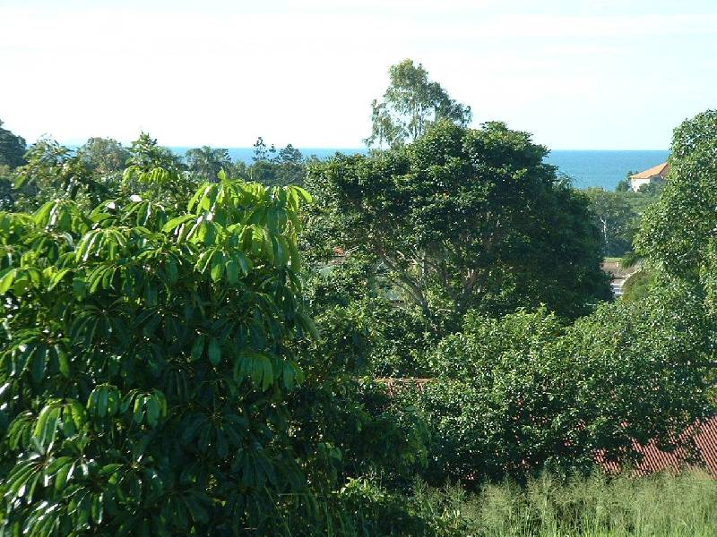 15 Sailaway Drive, Eimeo QLD 4740
