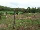 Lot 10 McGill Road, Kuttabul QLD 4741