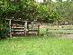 Lot 10 McGill Road, Kuttabul QLD 4741