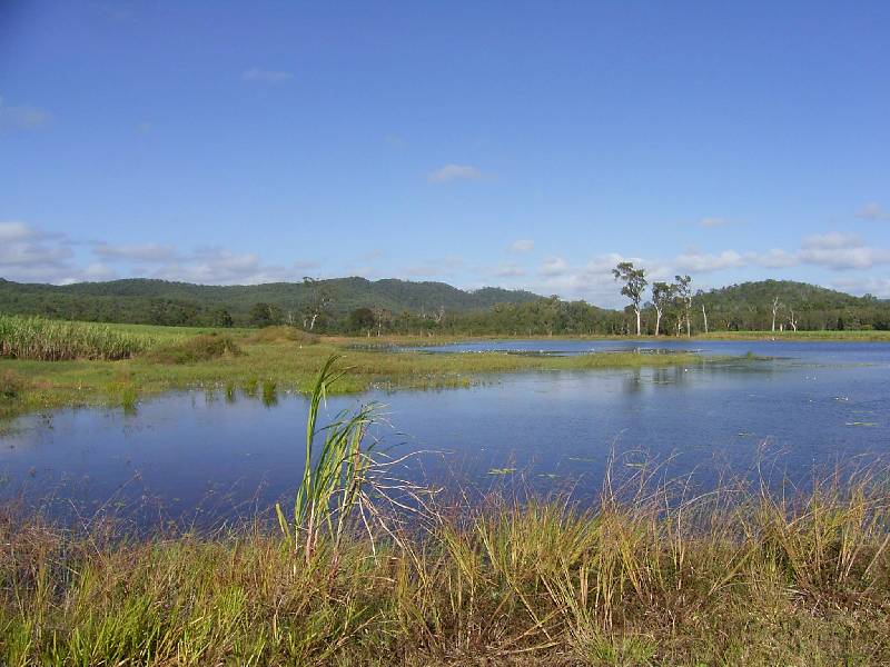 75 CONE CREEK ROAD, Koumala QLD 4738