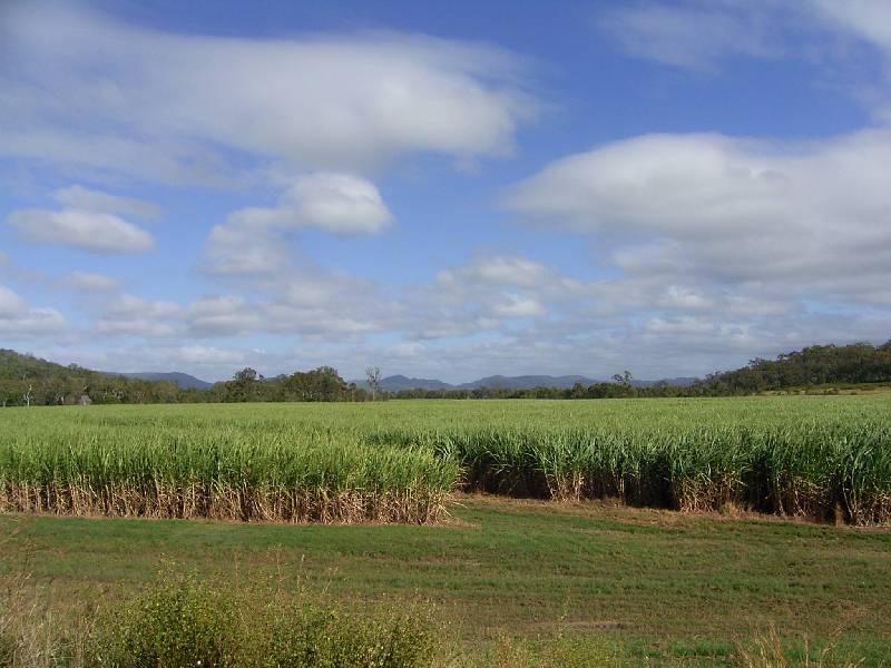 75 CONE CREEK ROAD, Koumala QLD 4738