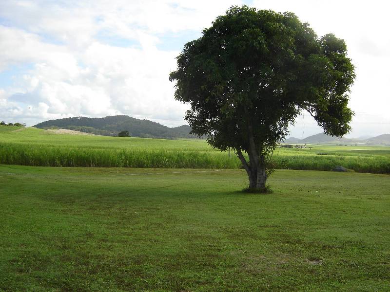 971 Bruce Highway, Farleigh QLD 4741