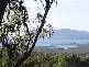 105 Barrow Hill Road, Habana QLD 4740