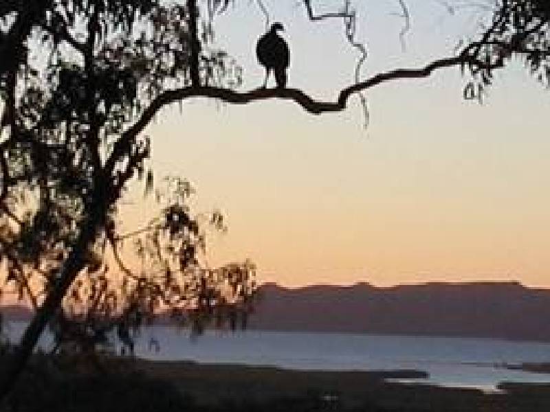 105 Barrow Hill Road, Habana QLD 4740