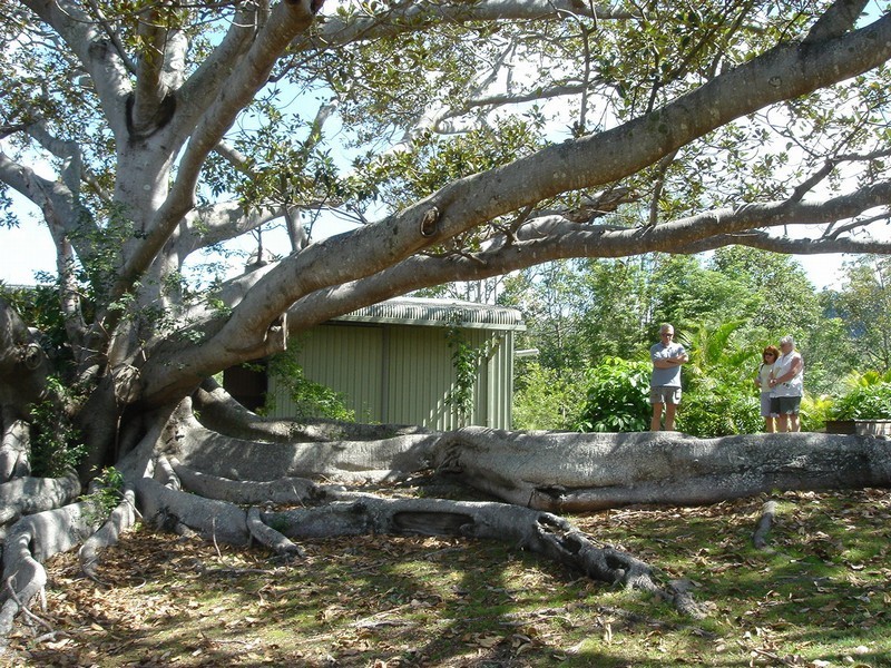 35/400 Ruffles Road, Willow Vale QLD 4209