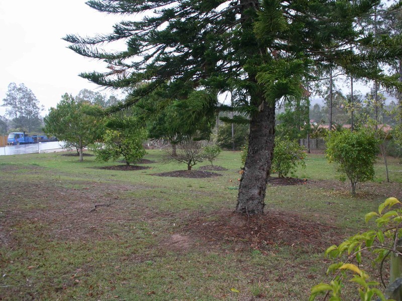 Shailer Park QLD 4128