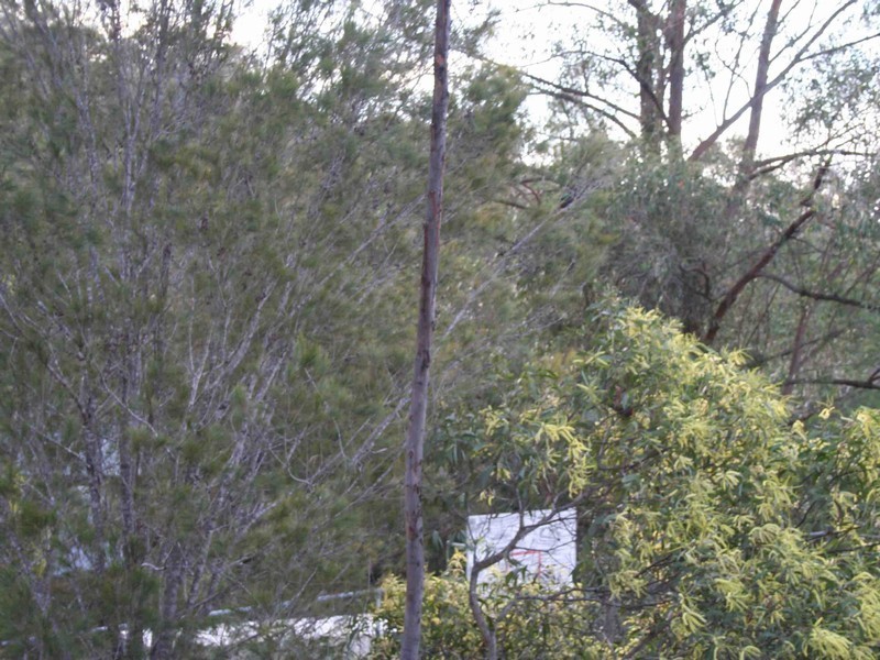 Cornubia QLD 4130