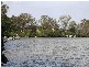 Loganholme QLD 4129