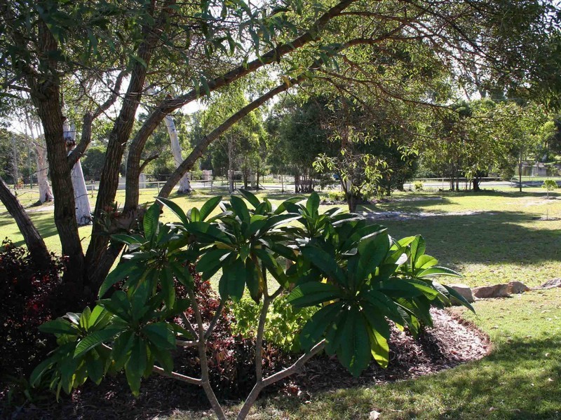 26 Solway Crescent, Carbrook QLD 4130