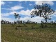 16 Oaks Drive, Burrum Heads QLD 4659