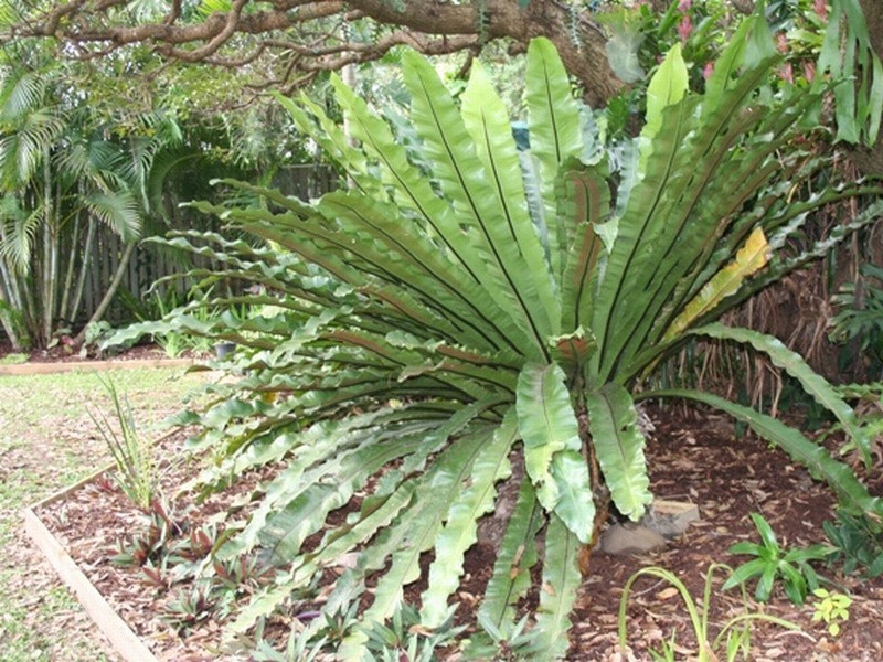 30 Margaret Street, Rochedale South QLD 4123