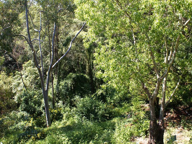 Baulkham Hills NSW 2153