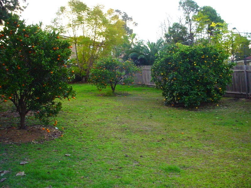 3 George Parade, Baulkham Hills NSW 2153