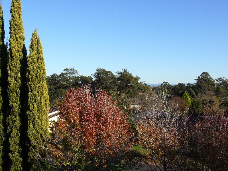 Castle Hill NSW 2154