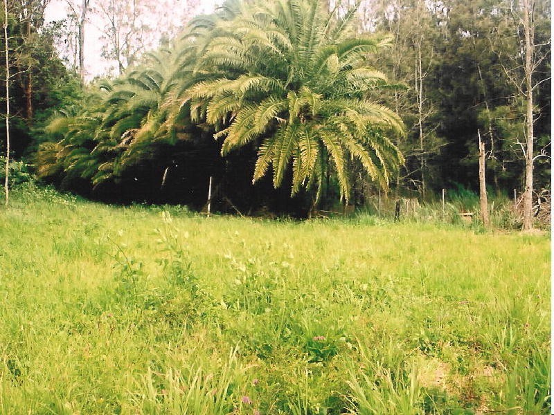 Avoca Beach NSW 2251