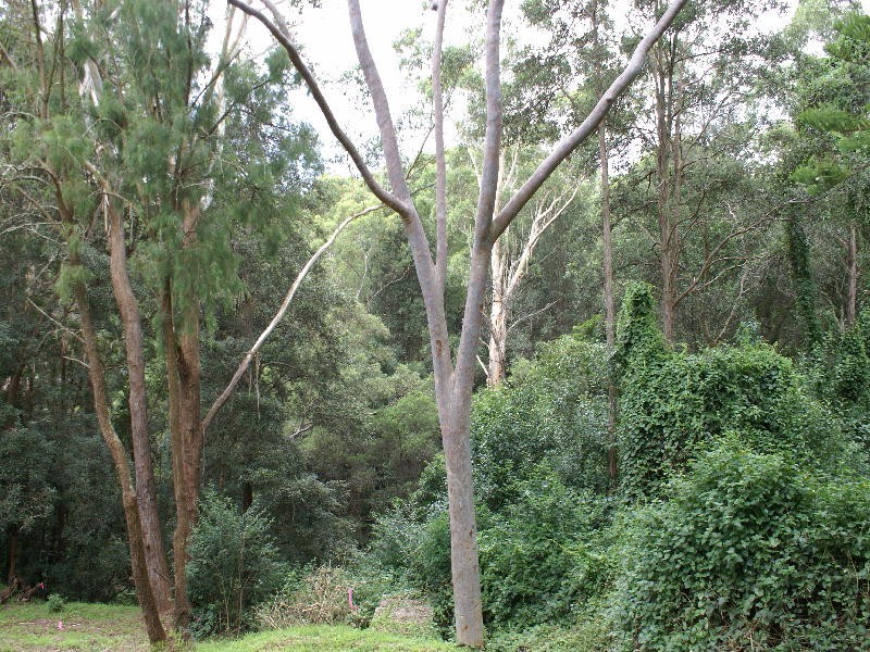 Baulkham Hills NSW 2153