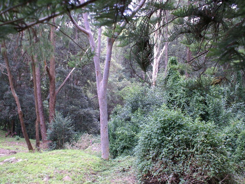 Baulkham Hills NSW 2153